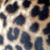 Cappuccio leopardato con stola, dettaglio tessuto pelliccia sintetica